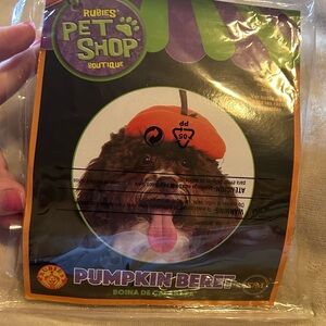 🟢NWT Pet Halloween Pumpkin Hat
